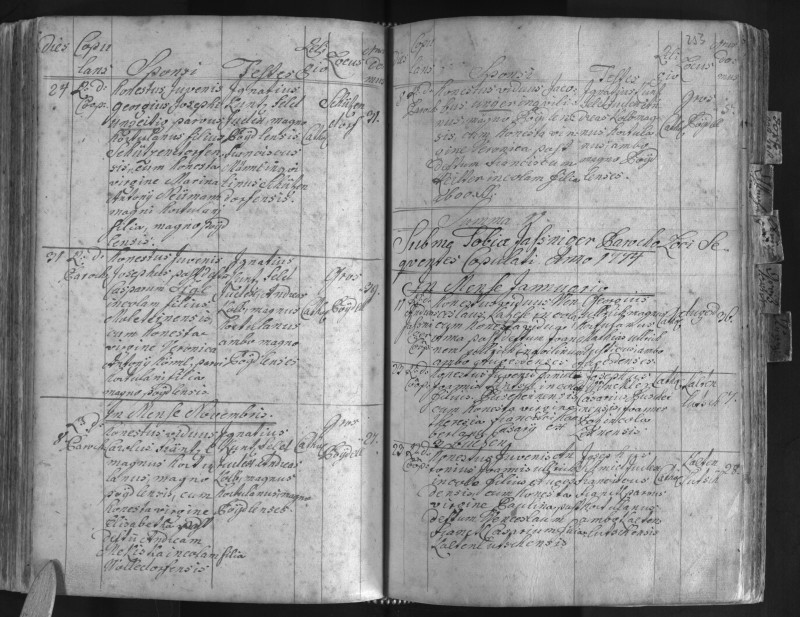 Siegel Josephus 1773 s..jpg