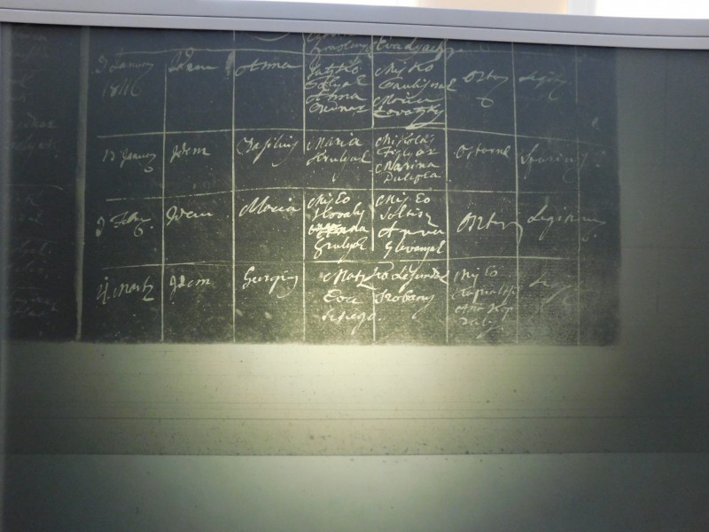 DSCN4774.jpg