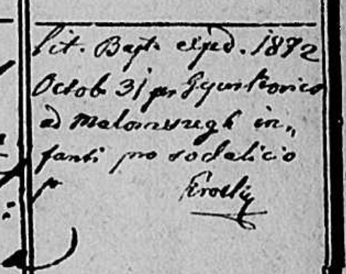 Strobel Ludovicus.PNG