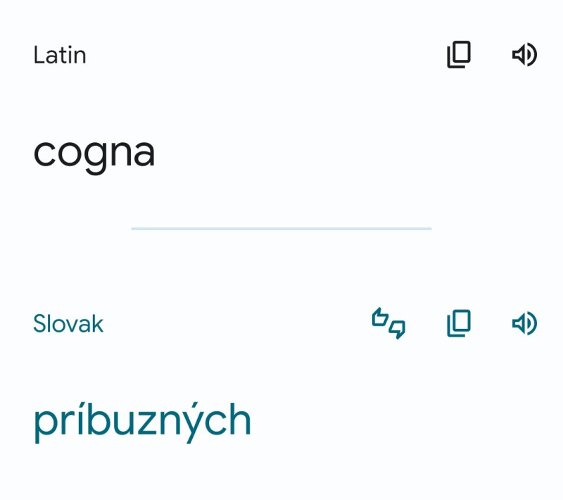 Screenshot_20230430_141911_Translate (1).jpeg
