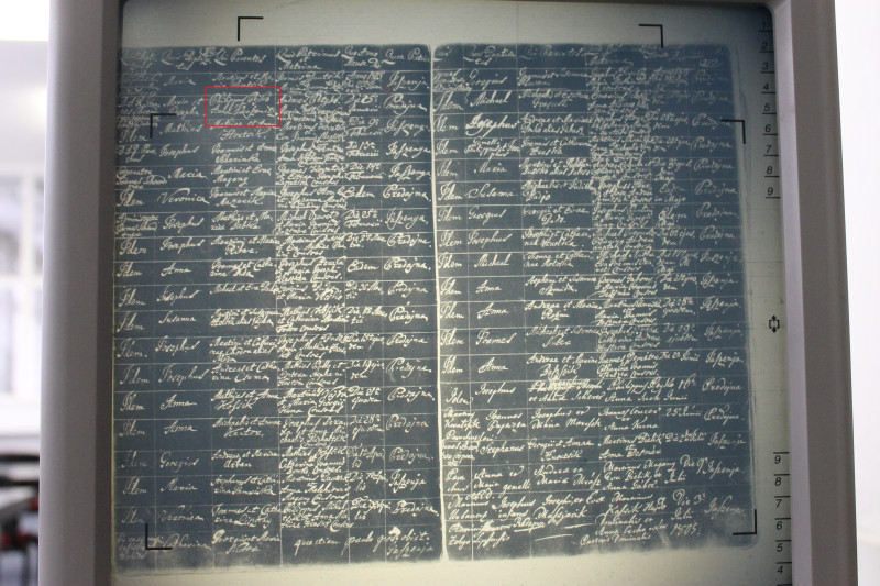 1805 Mária Pejková.jpg