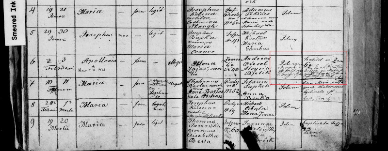 1865 Apolonia nemanželská.jpg