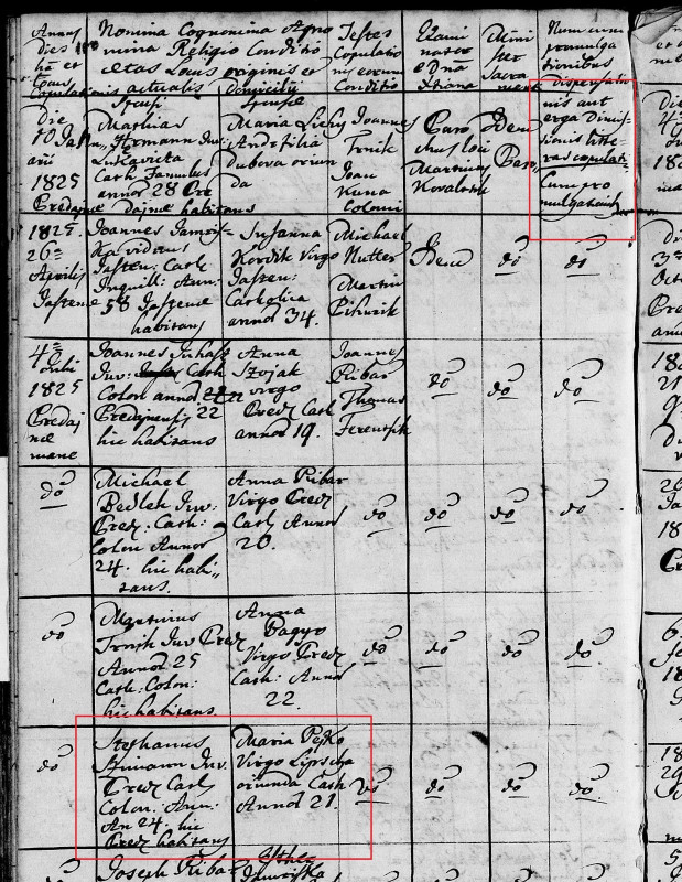 s 1825 mária pejková štefan siman.jpg