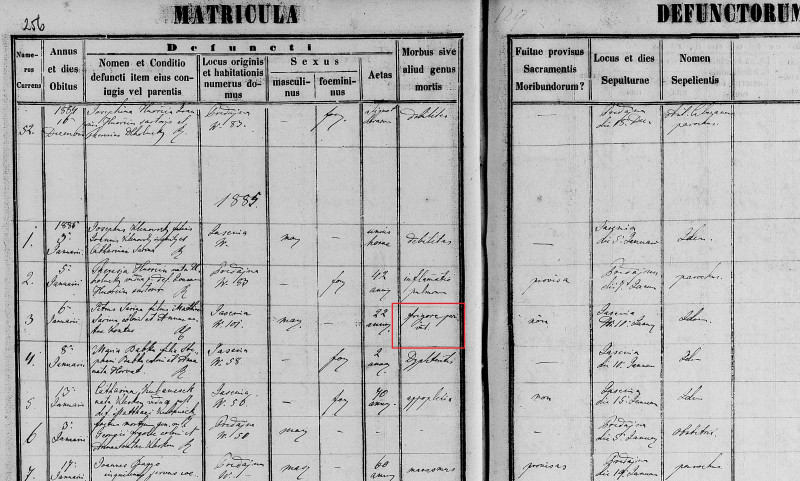 z 1885 Peter šarina.jpg