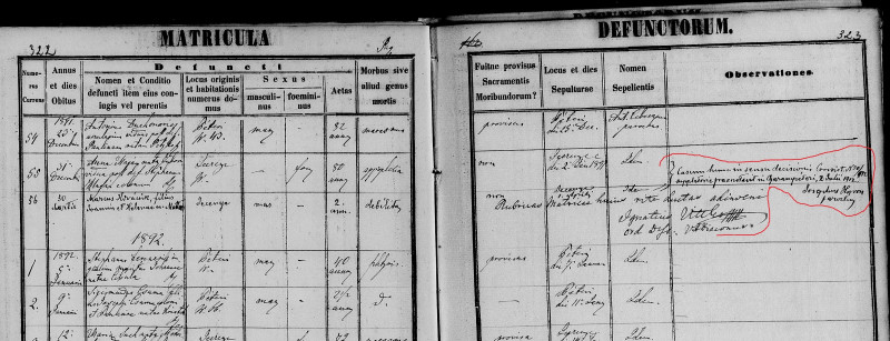 z 1891 Anna zubor.jpg