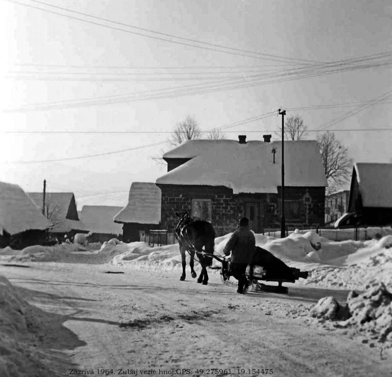 1963. Zázrivá -Ústredie . Zubaj vezie hnoj..jpg (236.43 KiB) 10858 zobrazení 1963. Zázrivá -Ústredie . Zubaj vezie hnoj..jpg