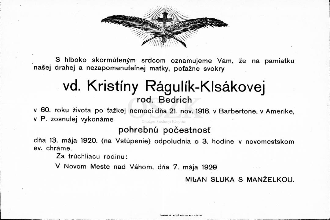 Parte_svokry_Milana_Sluku_1920.jpg
