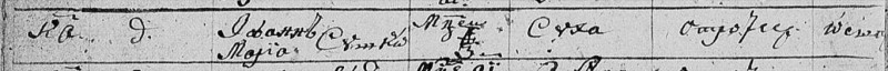 Suško Ivann a Maria -úmrtie,Sucha-detail.jpg