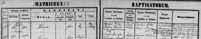 Vrto Maria - krst 1872 Piest.jpg
